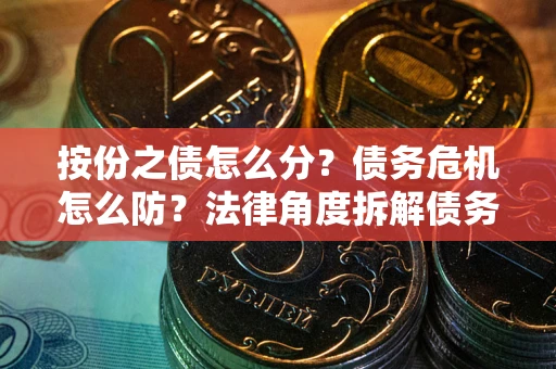 武汉按份之债怎么分？债务危机怎么防？法律角度拆解债务分配与风险自保指南