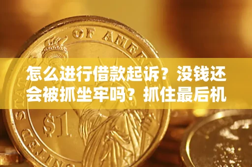 武汉怎么进行借款起诉？没钱还会被抓坐牢吗？抓住最后机会！