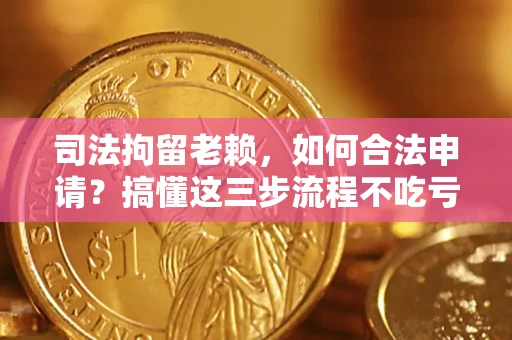 武汉司法拘留老赖，如何合法申请？搞懂这三步流程不吃亏！