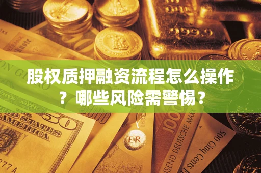 武汉股权质押融资流程怎么操作？哪些风险需警惕？