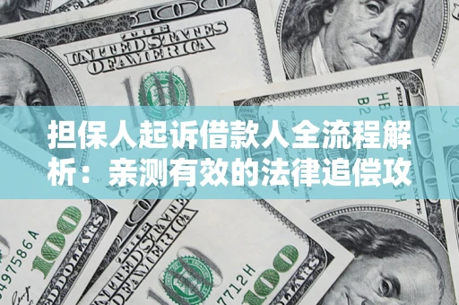 武汉担保人起诉借款人全流程解析：亲测有效的法律追偿攻略