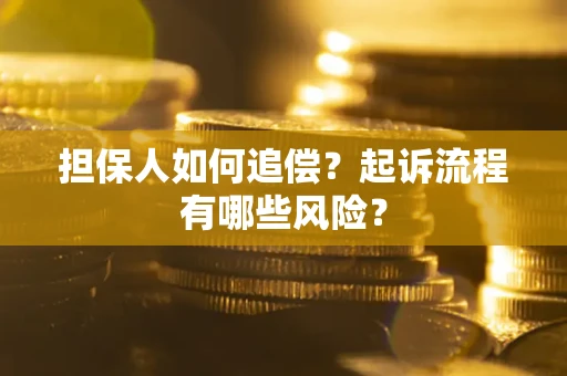 武汉担保人如何追偿？起诉流程有哪些风险？