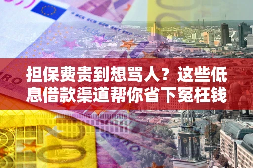 武汉担保费贵到想骂人？这些低息借款渠道帮你省下冤枉钱