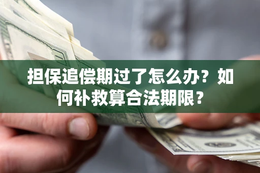 武汉担保追偿期过了怎么办？如何补救算合法期限？