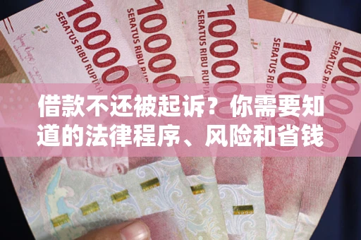 武汉借款不还被起诉？你需要知道的法律程序、风险和省钱技巧