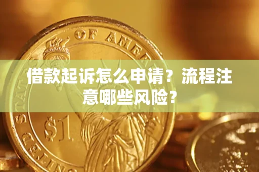 武汉借款起诉怎么申请？流程注意哪些风险？